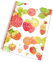 Bezdřevý college blok 14054/3