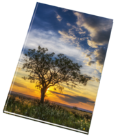 Záznamní kniha 54100 lesklá