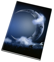 Záznamní kniha 54105 lesklá