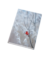 Záznamní kniha 55154 lesklá s rejstříkem