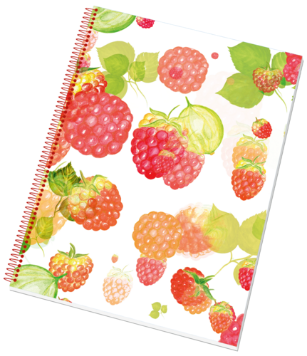 Bezdřevý college blok 14054/3 Bezdřevý college blok 14054/3 1