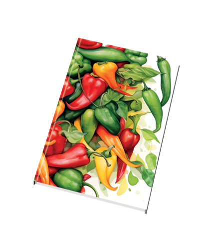 Záznamní kniha 55105 lesklá Záznamní kniha 55105 lesklá 1