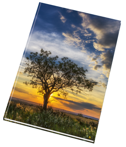 Záznamní kniha 54100 lesklá Záznamní kniha 54100 lesklá 1