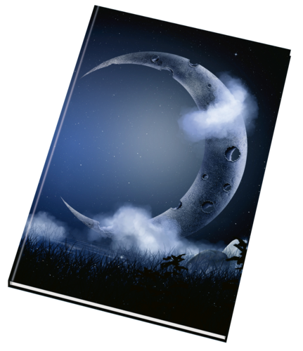 Záznamní kniha 54105 lesklá Záznamní kniha 54105 lesklá 1