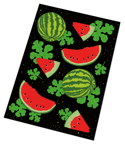 Sešit 444 FRESH Sešit 444 FRESH 1